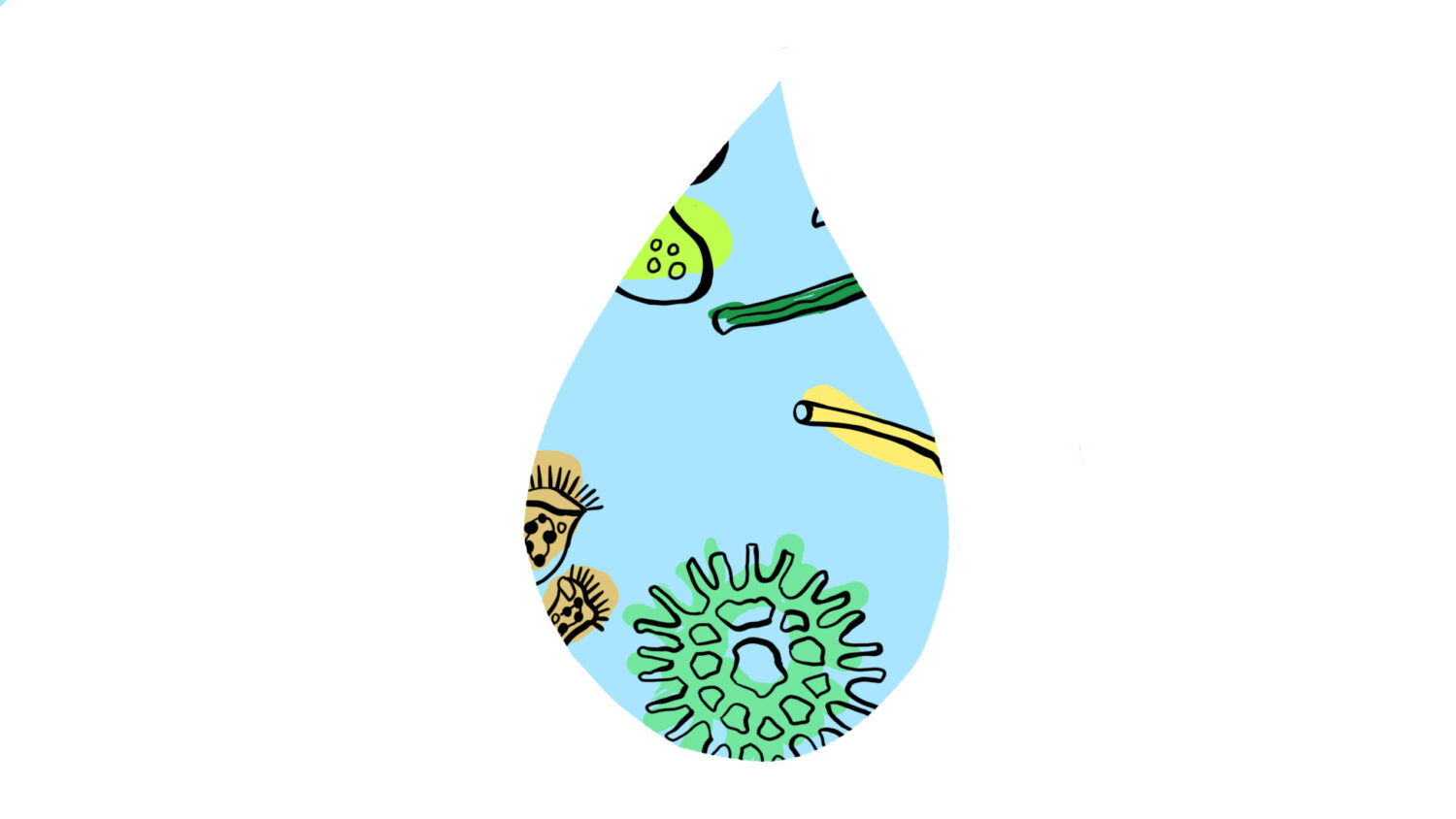 Short illustrated animation - the life in a drop of water. 
Krótka, ilustrowana animacja - życie w kropli wody.