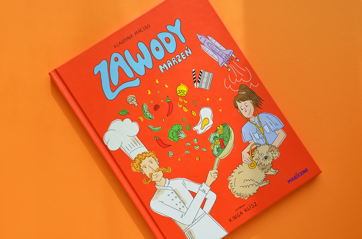 Książka "Zawody marzeń" Klaudyna Maciąg, ilustracje Kinga Klisz, wydawnictwo Magiczne (children book illustration)