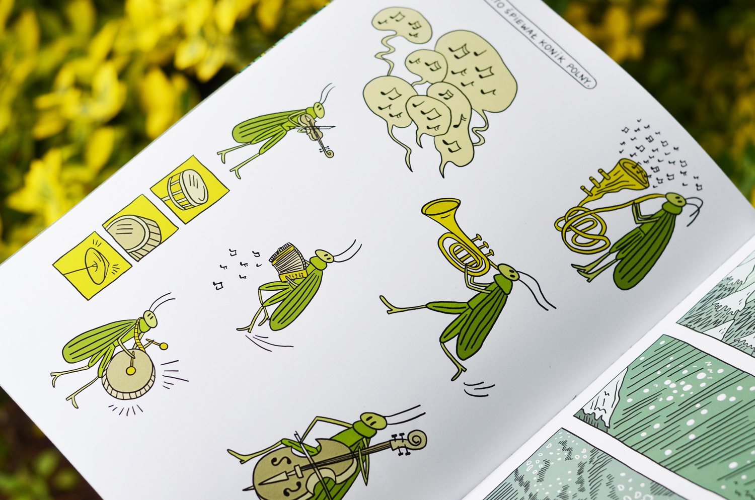 ilustrowany komiks "Konik polny i mrówka" na podstawie bajki Jean de la Fontaine Kinga Klisz - ilustracja książkowa i komiksowa, roślinność  natura